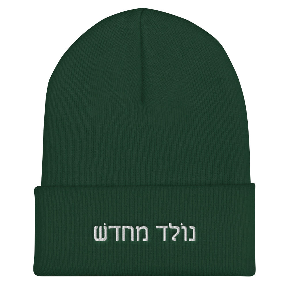 Cuffed Beanie Nolad Mechadash