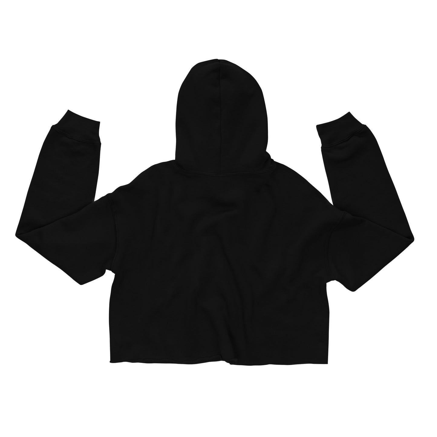 Spirit Wind | Crop Hoodie